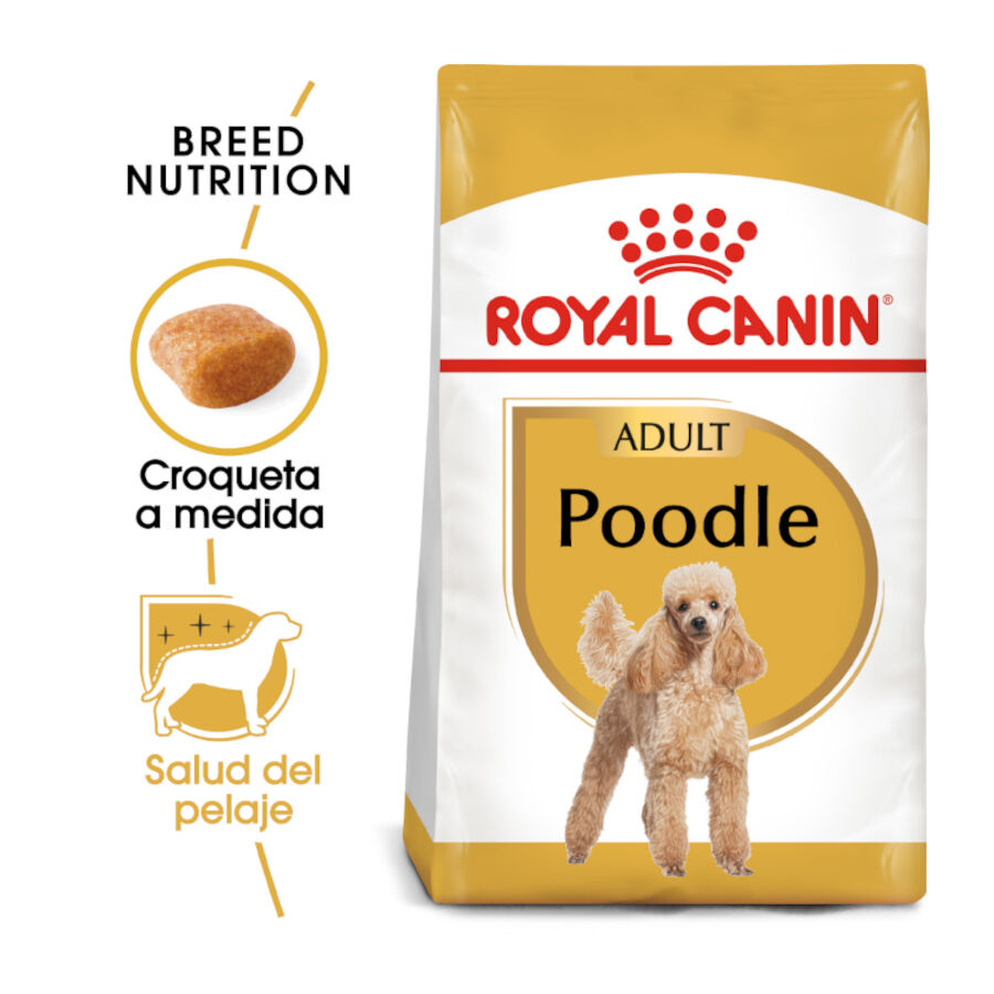 Royal Canin Adult Poodle pienso para perros, , large image number null